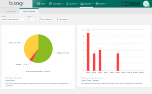 نرم افزار بیزاجی